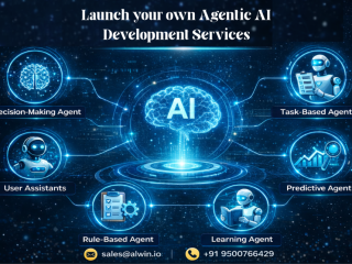 launch-your-own-agentic-ai-development-services